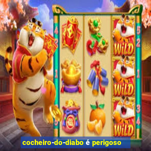 cocheiro-do-diabo é perigoso