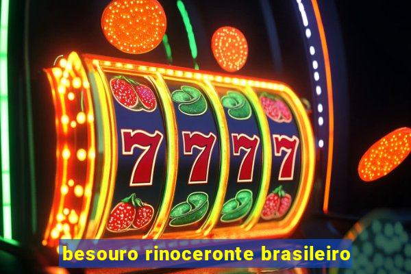 besouro rinoceronte brasileiro