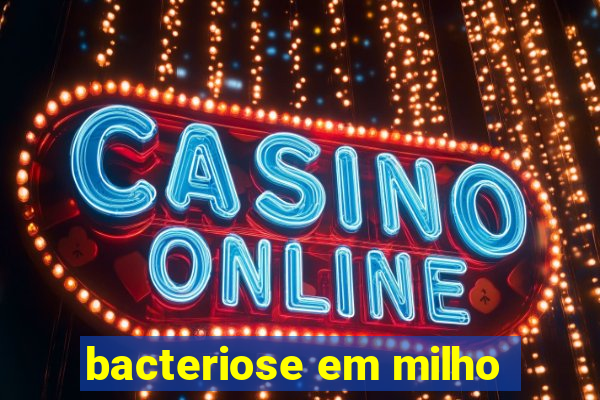 bacteriose em milho