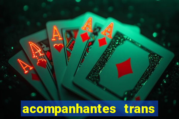 acompanhantes trans baixada fluminense