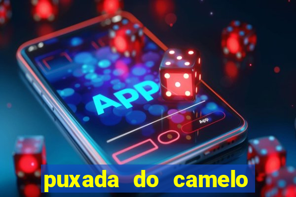 puxada do camelo no jogo do bicho