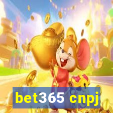 bet365 cnpj