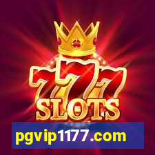 pgvip1177.com