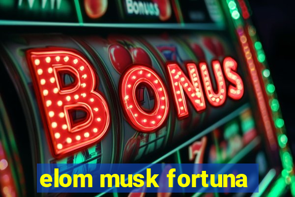 elom musk fortuna