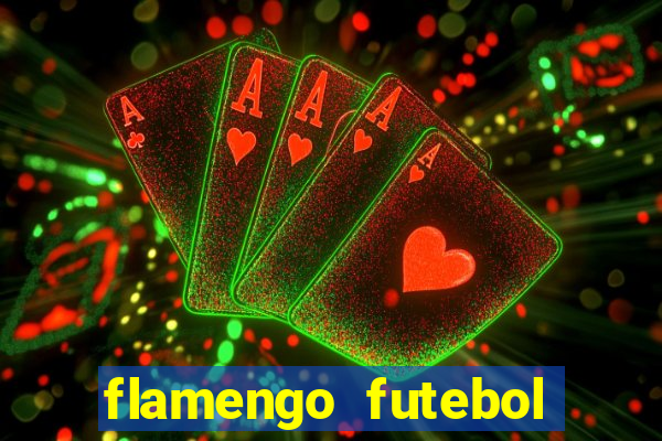 flamengo futebol play hd