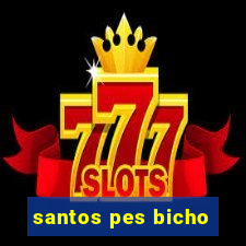 santos pes bicho