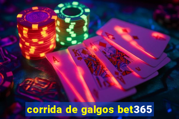 corrida de galgos bet365