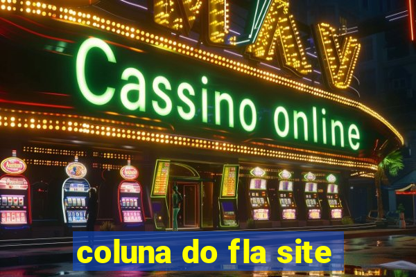 coluna do fla site