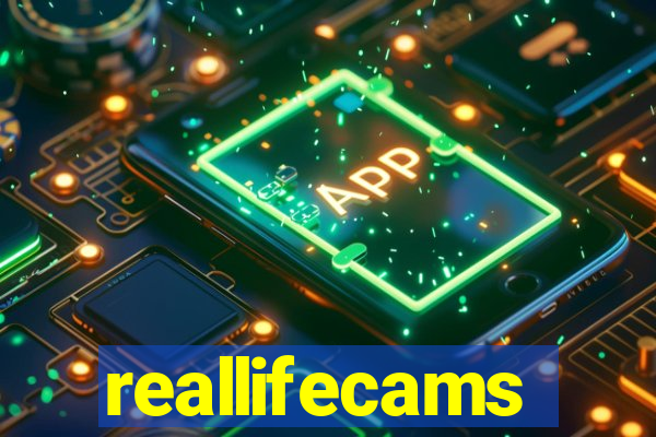 reallifecams