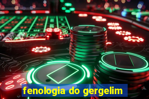 fenologia do gergelim