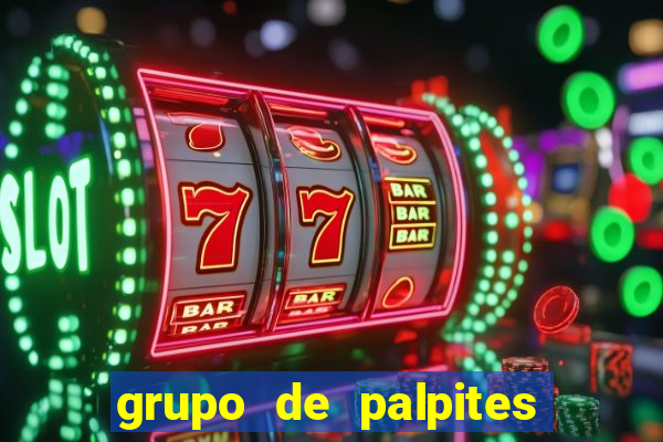 grupo de palpites de futebol telegram