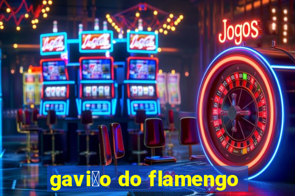 gavi茫o do flamengo