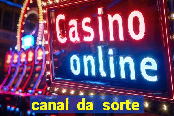 canal da sorte bingo de hoje