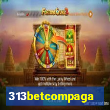 313betcompaga