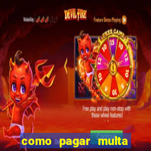 como pagar multa detran mg