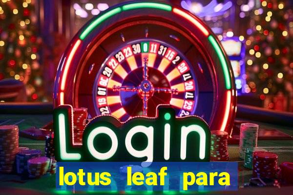 lotus leaf para que serve