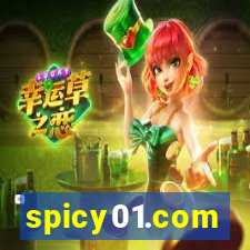 spicy01.com