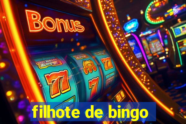 filhote de bingo