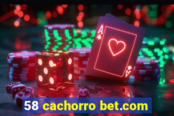 58 cachorro bet.com