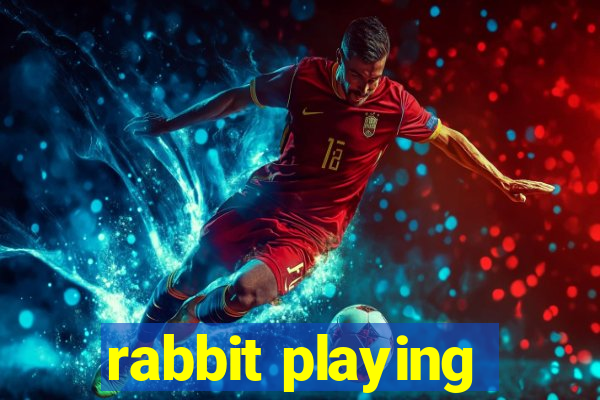 rabbit playing