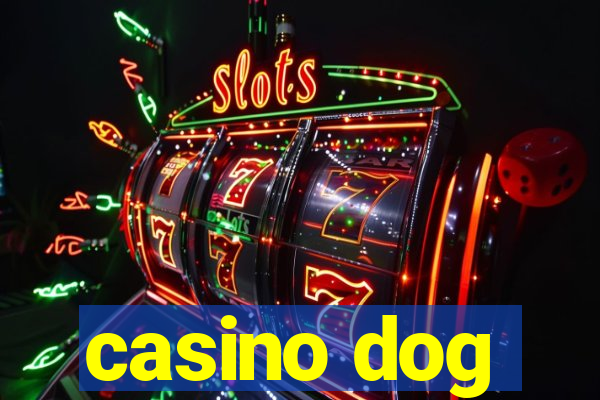 casino dog