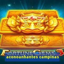 aconoanhantes campinas