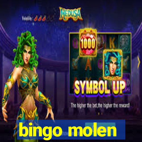 bingo molen