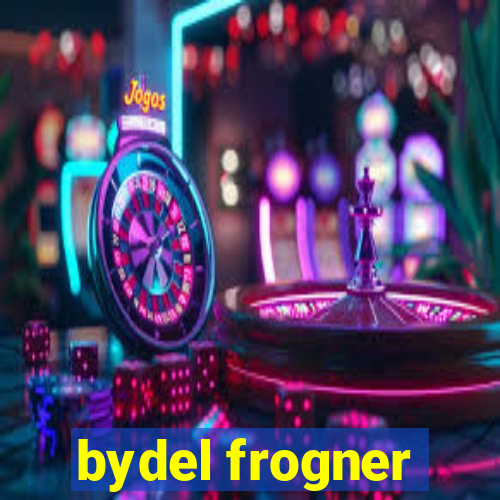 bydel frogner