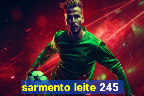 sarmento leite 245