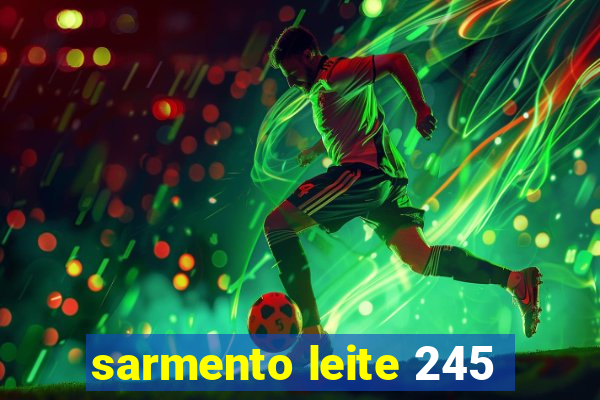 sarmento leite 245