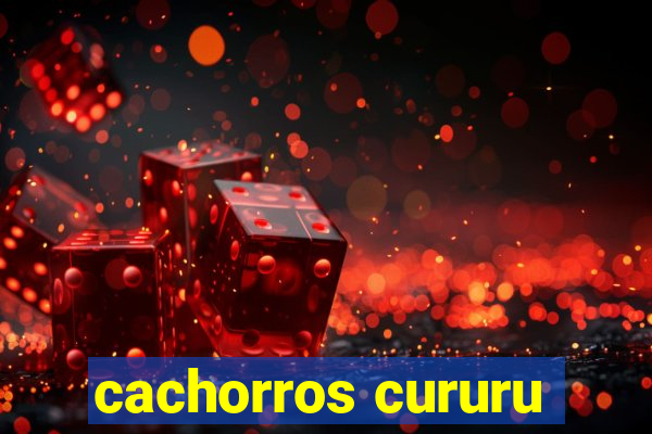 cachorros cururu