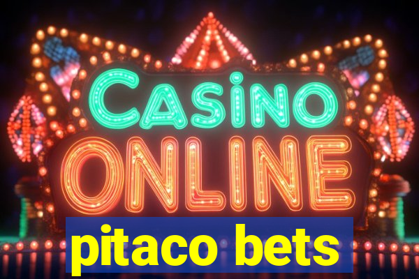 pitaco bets