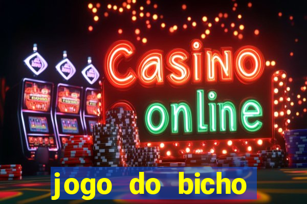 jogo do bicho online df