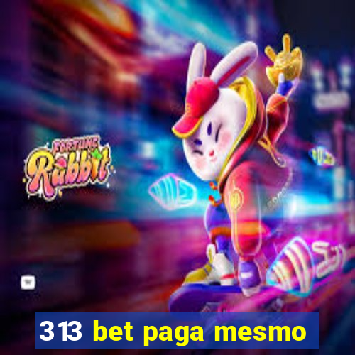 313 bet paga mesmo