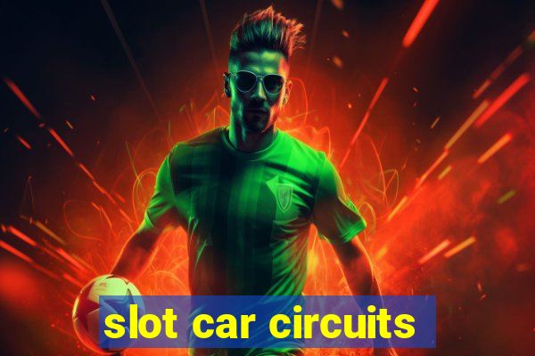 slot car circuits