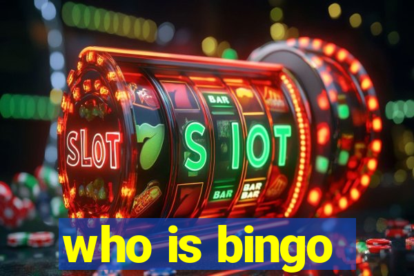 who is bingo