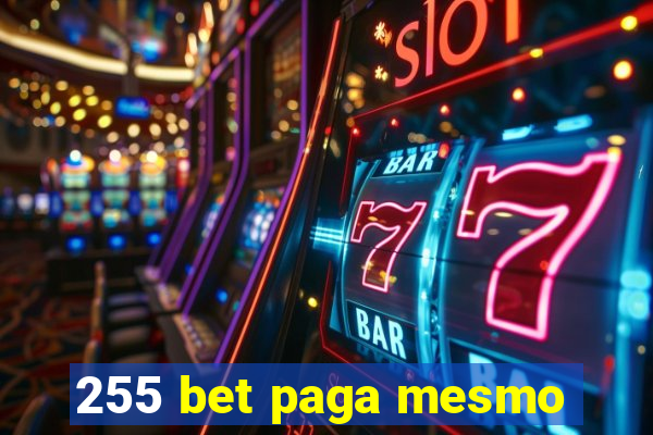 255 bet paga mesmo