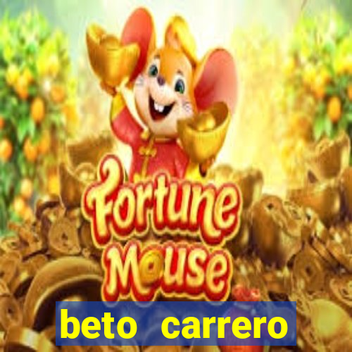 beto carrero cidades proximas