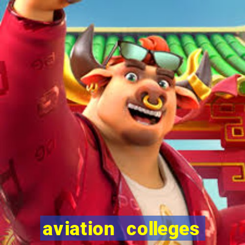 aviation colleges in usa