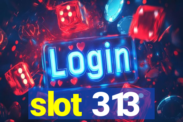 slot 313