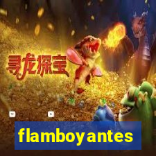 flamboyantes