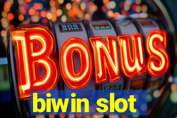 biwin slot