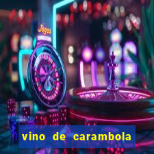 vino de carambola stardew valley