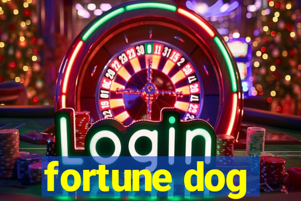 fortune dog