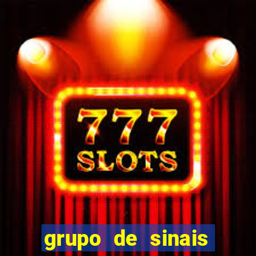 grupo de sinais fortune rabbit